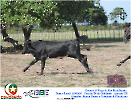 2° Pega de Boi Beneficente 22.03.26-74
