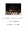 Capim Cubano 31.08.07 - 12880-1