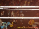 Praia de Majorlandia e Domingo de Carnaval 14.02.10-101