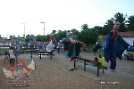 Carnaval de Fortim 10.02.13-708