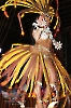 Rainha do Carnaval 02.02.13-116