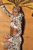 Rainha do Carnaval 02.02.13-256