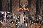 Rainha do Carnaval 02.02.13-329