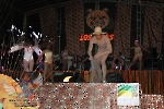 Rainha do Carnaval 02.02.13-39