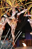 Rainha do Carnaval 02.02.13-56