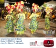 Carnaval Cultural 01.03.14-50