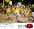 Carnaval Cultural 01.03.14-51