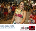Carnaval Cultural 03.03.14-24