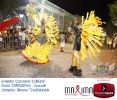 Carnaval Cultural 03.03.14-51