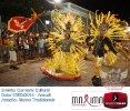 Carnaval Cultural 03.03.14-53