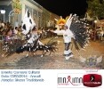 Carnaval Cultural 03.03.14-88