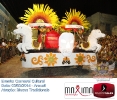 Carnaval Cultural 03.03.14-97