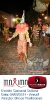 Carnaval Cultural 04.03.14-82