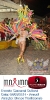 Carnaval Cultural 04.03.14-84