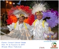 Carnaval Cultural 14.02.15-107
