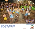 Carnaval Cultural 14.02.15-120