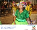 Carnaval Cultural 14.02.15