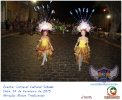 Carnaval Cultural 14.02.15-16