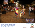 Carnaval Cultural 14.02.15-72