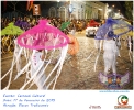 Carnaval Cultural 17.02.15-159