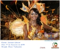 Carnaval Cultural 17.02.15