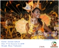 Carnaval Cultural 17.02.15