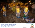 Carnaval Cultural 16.02.15-13