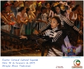 Carnaval Cultural 16.02.15-184