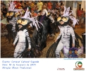 Carnaval Cultural 16.02.15-187