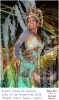 Rainha do Carnaval 07.02.15-145