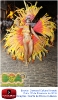 Carnaval Cultural 07.02.16-115