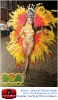 Carnaval Cultural 07.02.16-116