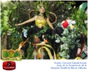 Carnaval Cultural 07.02.16-143