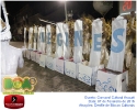 Carnaval Cultural 07.02.16-183