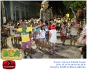 Carnaval Cultural 07.02.16-240