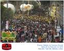 Sábado de Carnaval 06.02.16-15